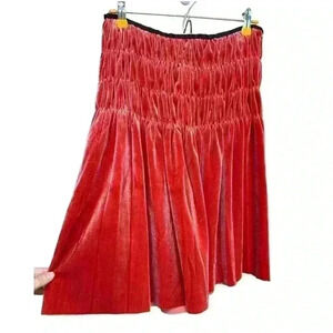 Velvet skirt size 6